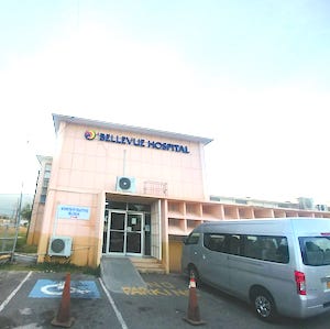 Bellvue Mental Institute, Kingston